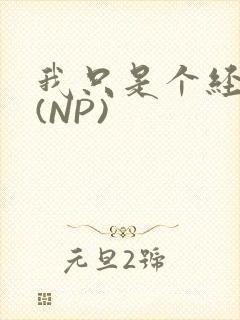 我只是个经纪人(NP)