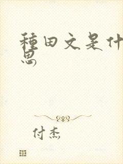种田文是什么意思