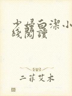 少妇白洁小说在线阅读