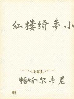 红楼绮梦小说