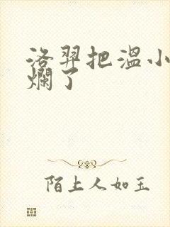 洛羿把温小辉做烂了封面