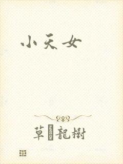 小天女封面