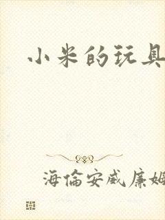 小米的玩具日记