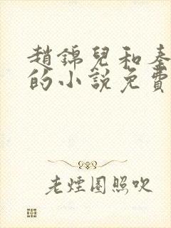 赵锦儿和秦慕修的小说免费阅读全文封面