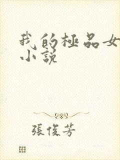 我的极品女老师小说