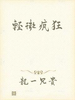 轻微疯狂封面