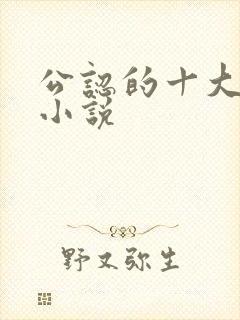 公认的十大虐心小说封面