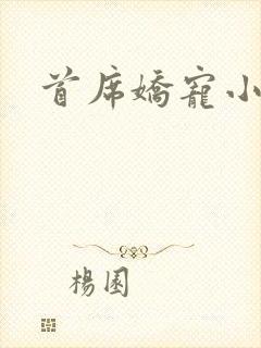 首席娇宠小情人