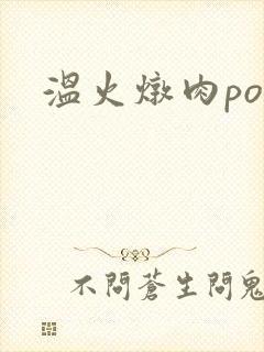 温火炖肉pop