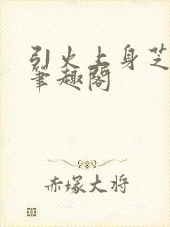 引火上身芝麻糖笔趣阁
