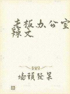 老板办公室系列辣文