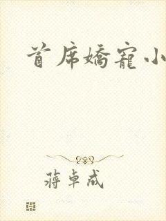 首席娇宠小情人