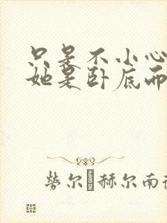 只是不小心发现她是卧底而已封面