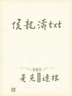 侯龙涛txt封面