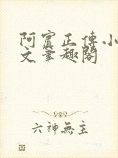 阿宾正传小说全文笔趣阁封面