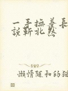 一手抚养长大小说靳北然封面