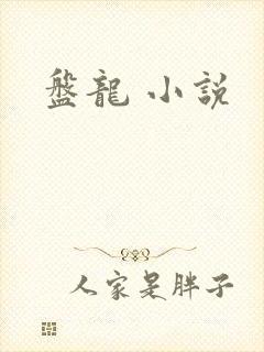 盘龙 小说