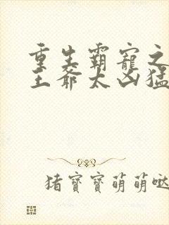 重生霸宠之摄政王爷太凶猛封面
