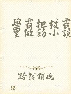 学霸把校霸往死里做的小说