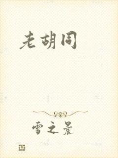 老胡同