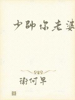 少帅你老婆