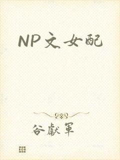 NP文女配