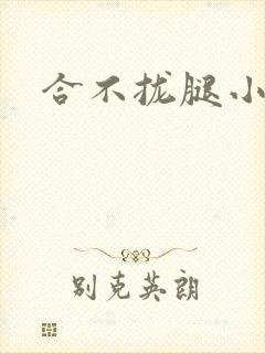 合不拢腿小说封面
