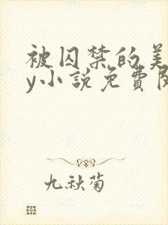 被囚禁的美人by小说免费阅读