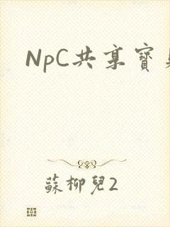 NpC共享宝贝