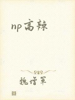 np高辣