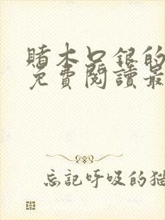 赌木口银的小说免费阅读最新封面
