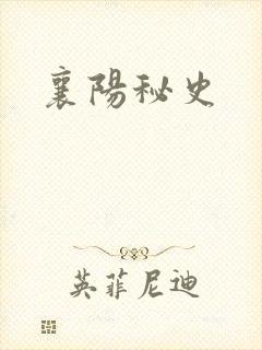 襄阳秘史封面