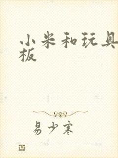 小米和玩具店老板
