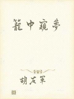 笼中窥梦