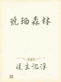 琥珀森林封面