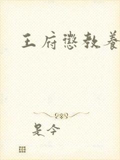 王府惩教养日常