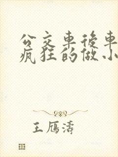 公交车后车座的疯狂的做小