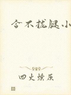 合不拢腿小说