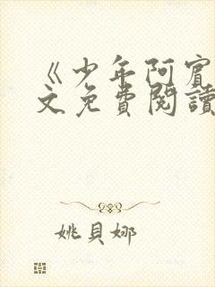 《少年阿宾》全文免费阅读封面