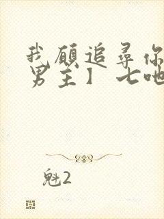 我愿追寻你【双男主】 七吔