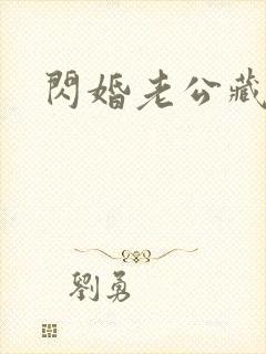闪婚老公藏不住