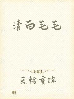 清白毛毛
