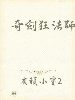 奇剑狂法师封面