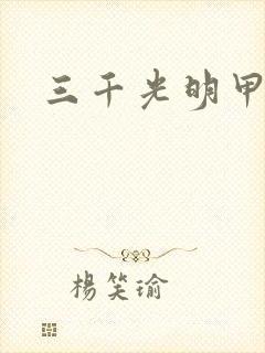 三千光明甲