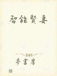 智能贤妻封面