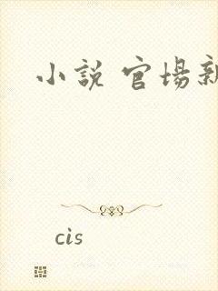 小说 官场新贵封面