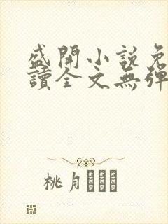 盛开小说免费阅读全文无弹窗