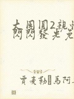 大团圆2亲情会闪闪发光免费封面
