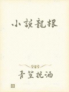 小说龙根