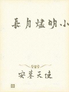长月烬明小说封面
